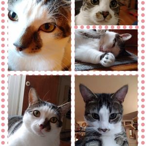 Meet your Posher, Alison